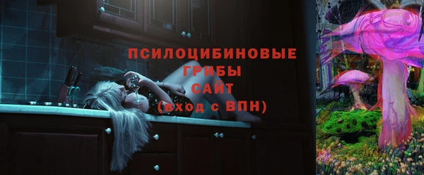 PSILOCYBIN Дмитров