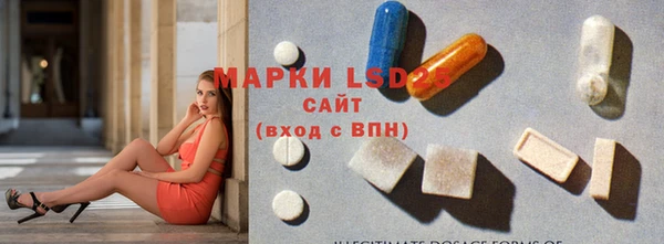 гидра Аркадак