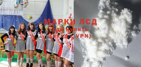 сатива Кулебаки