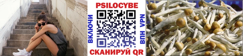 дарк нет телеграм  цена наркотик  Новодвинск  Псилоцибиновые грибы Cubensis 